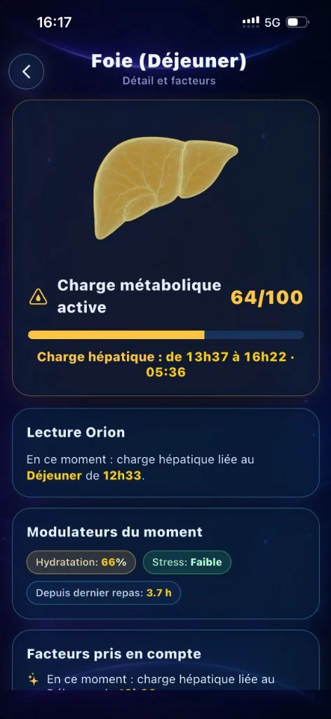 Écran Orion : détail du foie après le déjeuner, charge métabolique et modulateurs